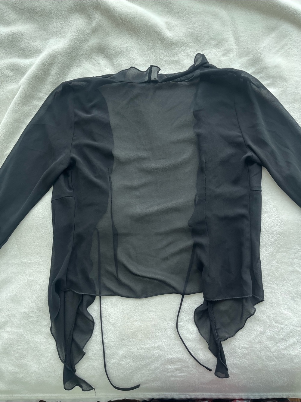 Sheer Ruffle-Front Blouse - Picture 4 of 5